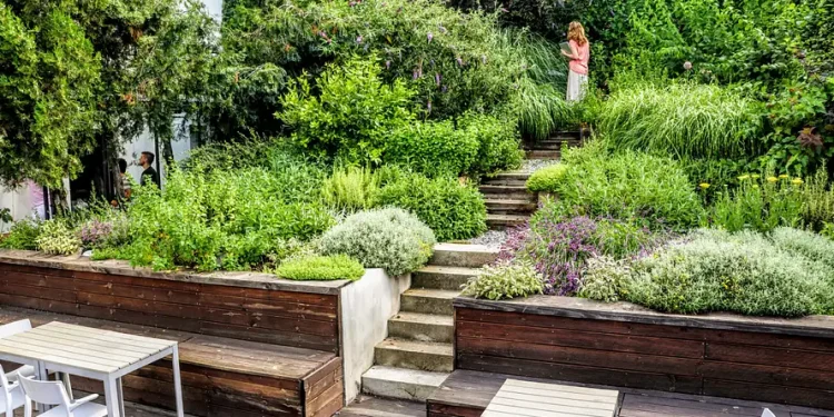 Baštovanstvo za početnike, predavanja i radionice u oktobru i novembru