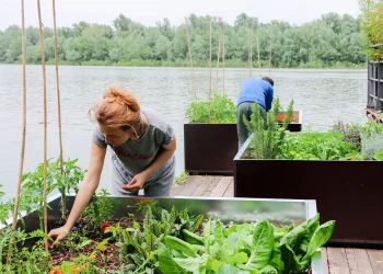 Urbano baštovanstvo