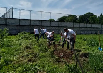 Korporativno volontiranje