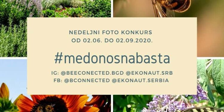 Nagradni foto konkurs #medonosnabasta svake nedelje do 02. septembra na društvenim mrežama Ekonauta