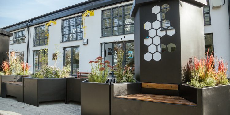 Postavljena eko instalacija „Panonska bašta“ u Novom Sadu