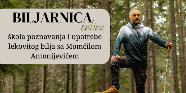 Otvorene prijave za novi ciklus škole lekovitog bilja „Biljarnica online“