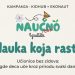 Detinjstvu treba više prirode: kampanja „Nauka koja raste“ za učionice bez zidova u vrtićima i školama